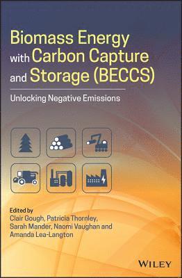 bokomslag Biomass Energy with Carbon Capture and Storage (BECCS)