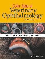 bokomslag Color Atlas of Veterinary Ophthalmology