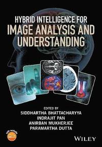 bokomslag Hybrid Intelligence for Image Analysis and Understanding