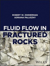 bokomslag Fluid Flow in Fractured Rocks