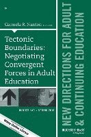 bokomslag Tectonic Boundaries: Negotiating Convergent Forces in Adult Education