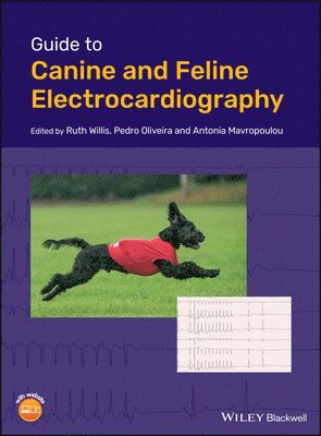 Ruth Willis, Pedro Oliveira, Antonia Mavropoulou - Guide to Canine and Feline Electrocardiography, Inbunden