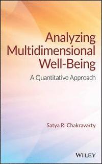 bokomslag Analyzing Multidimensional Well-Being