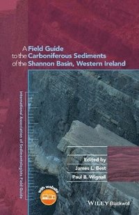 bokomslag A Field Guide to the Carboniferous Sediments of the Shannon Basin, Western Ireland