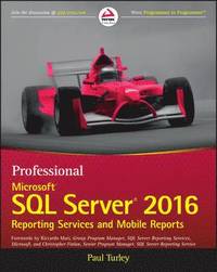 bokomslag Professional Microsoft SQL Server 2016 Reporting Services and Mobile Reports