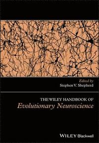 bokomslag The Wiley Handbook of Evolutionary Neuroscience