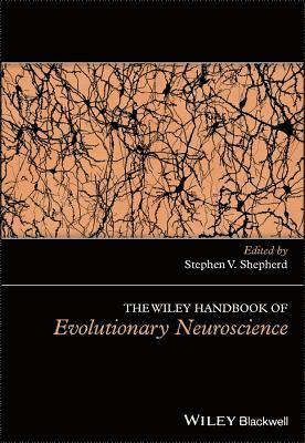 bokomslag The Wiley Handbook of Evolutionary Neuroscience