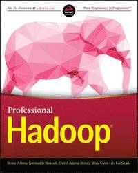 bokomslag Professional Hadoop