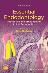 bokomslag Essential Endodontology