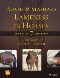 bokomslag Adams and Stashak's Lameness in Horses