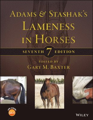 bokomslag Adams and Stashak's Lameness in Horses