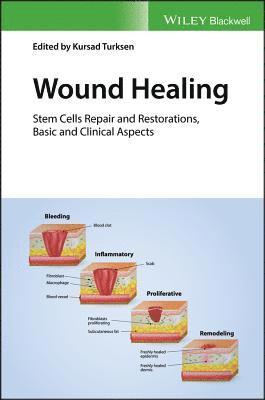 bokomslag Wound Healing