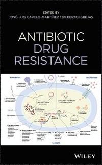bokomslag Antibiotic Drug Resistance