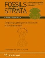 Ulf J. Borgen, Hans A. Nakrem - Morphology, Phylogeny and Taxonomy of Osteolepiform Fish, Häftad
