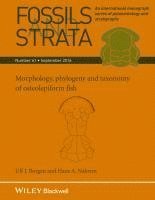 bokomslag Morphology, Phylogeny and Taxonomy of Osteolepiform Fish