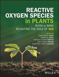 bokomslag Reactive Oxygen Species in Plants