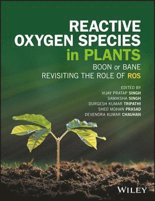 bokomslag Reactive Oxygen Species in Plants