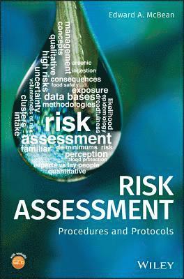 bokomslag Risk Assessment