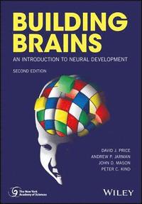 bokomslag Building Brains
