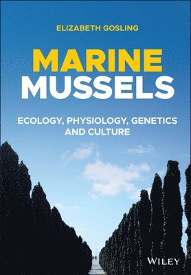 Marine Mussels 1