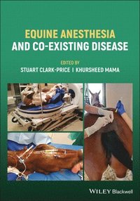 bokomslag Equine Anesthesia and Co-Existing Disease