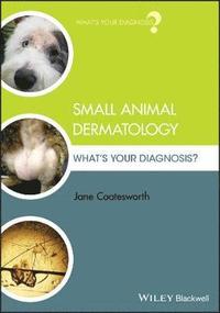 bokomslag Small Animal Dermatology