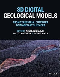 bokomslag 3D Digital Geological Models