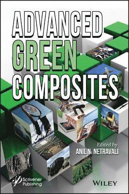 Anil N. Netravali, Anil N. Netravali, USA) Netravali, Anil N. (Cornell University, Ithaca, Anil N Netravali - Advanced Green Composites, Inbunden