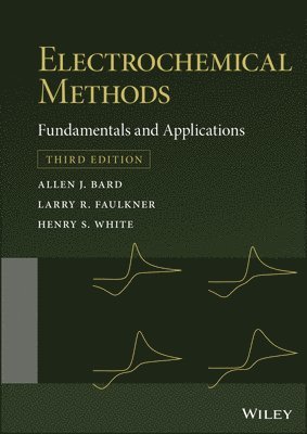 bokomslag Electrochemical Methods