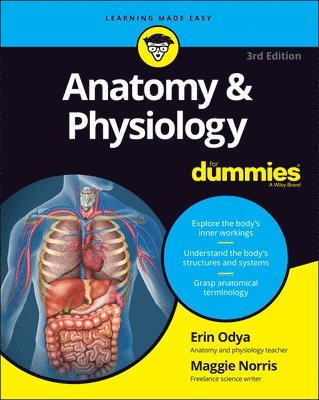 Erin Odya, Maggie A. Norris - Anatomy & Physiology For Dummies, Häftad