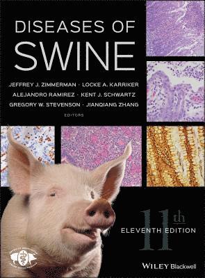 bokomslag Diseases of Swine