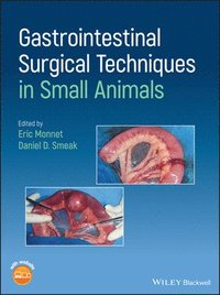 bokomslag Gastrointestinal Surgical Techniques in Small Animals