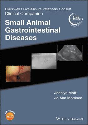 Jocelyn Mott, Jo Ann Morrison - Blackwell's Five-Minute Veterinary Consult Clinical Companion, Häftad
