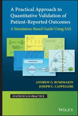 Andrew G. Bushmakin, Joseph C. Cappelleri, Andrew G Bushmakin, Joseph C Cappelleri - Practical Approach to Quantitative Validation of Patient-Reported Outcomes, Inbunden