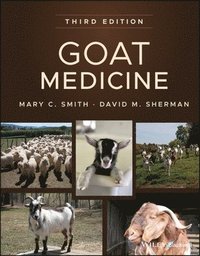 bokomslag Goat Medicine