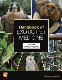 bokomslag Handbook of Exotic Pet Medicine