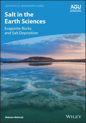 bokomslag Salt in the Earth Sciences