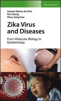 bokomslag Zika Virus and Diseases
