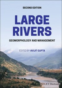 bokomslag Large Rivers