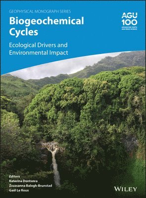 bokomslag Biogeochemical Cycles