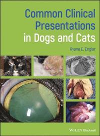 bokomslag Common Clinical Presentations in Dogs and Cats