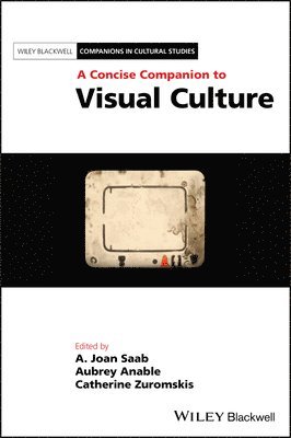 bokomslag A Concise Companion to Visual Culture