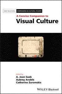 bokomslag A Concise Companion to Visual Culture