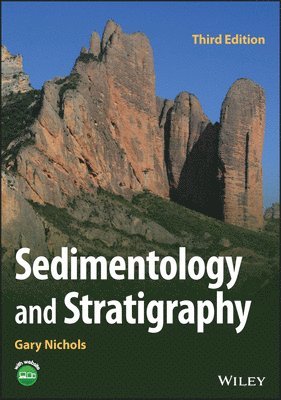 bokomslag Sedimentology and Stratigraphy