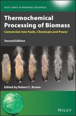 bokomslag Thermochemical Processing of Biomass