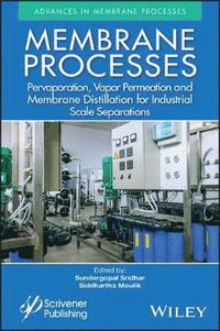 bokomslag Membrane Processes