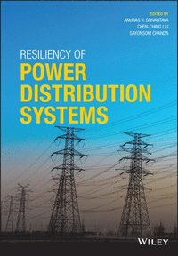 bokomslag Resiliency of Power Distribution Systems