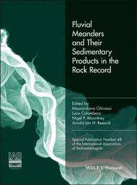 bokomslag Fluvial Meanders and Their Sedimentary Products in the Rock Record (IAS SP 48)