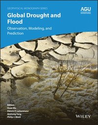 bokomslag Global Drought and Flood