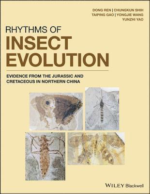 bokomslag Rhythms of Insect Evolution